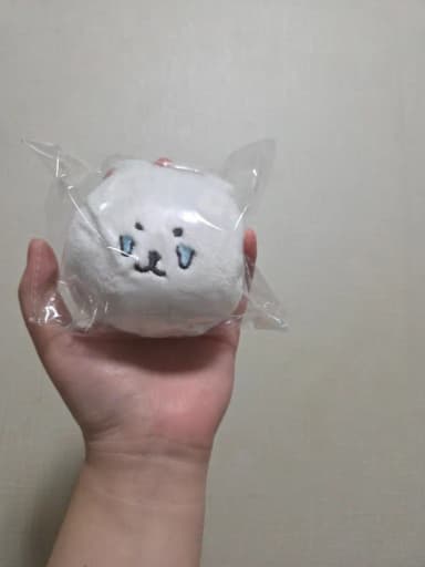 Nagano Market Bear Cub