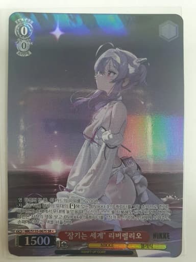 Vice Schwarz Nike Liberellio SR 1st Card
