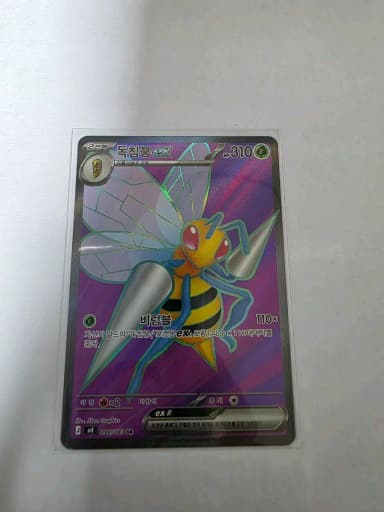 Cardboard Dokchimbung SR
