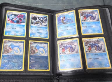 Pokemon Card Gyarados Set All Sold Together