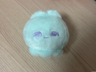 SVT Seventeen Jeonghan Doll Jeonghanba Jellyfish Jeonghan