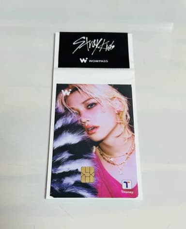 Sealed) Stray Kids DO IT Skz Felix Poca WOW PASS T-money Card Clothing