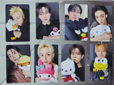 OT8) Stray Kids SKZ Sanrio Collab Poca Set Stray Kids SKZ Sanrio PC Photocard Set